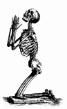 Skeleton