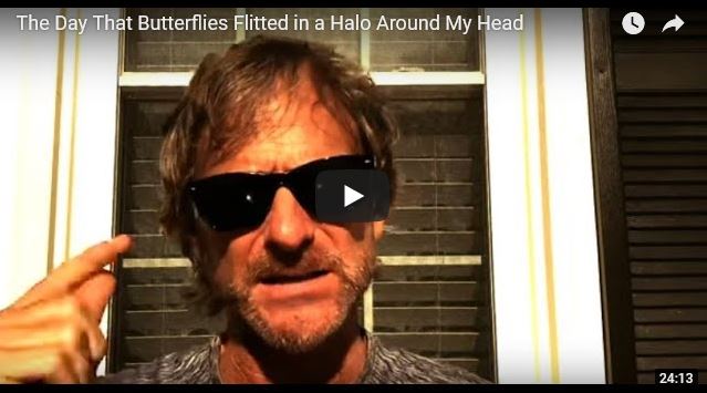 halo of butterflies